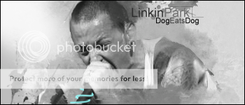 [Image: 1-Dog-1.png]