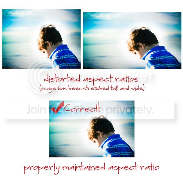 Aspect-Ratio-Tutorial-2.jpg picture by After5Design