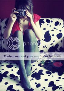 photography Pictures, Images and Photos