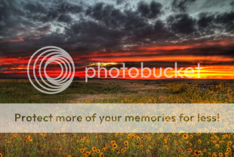 IMAGE: http://i619.photobucket.com/albums/tt276/oldbmxer66/HDR%20photos/IMG_0427_8_9_tonemappedcopy1.jpg