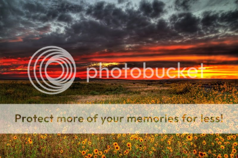 IMAGE: http://i619.photobucket.com/albums/tt276/oldbmxer66/HDR%20photos/desertsunset.jpg