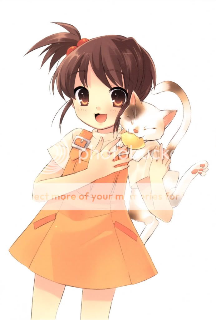 Forum Image: http://i619.photobucket.com/albums/tt276/sakabato24/zerochanSuzumiyaHaruhinoYuuutsu66815.jpg