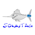sonntag fins logo