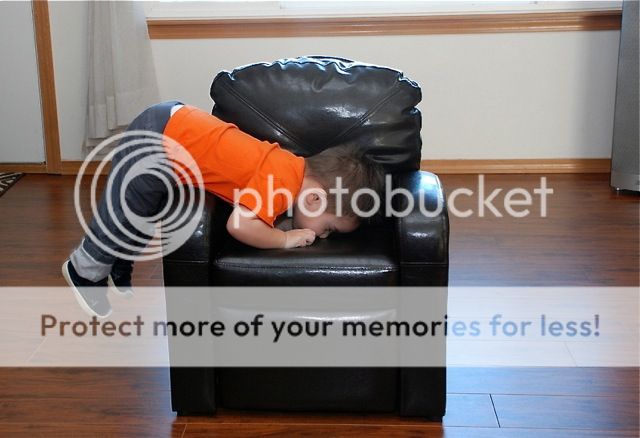 photo file_zpsa8cdf5df.jpg