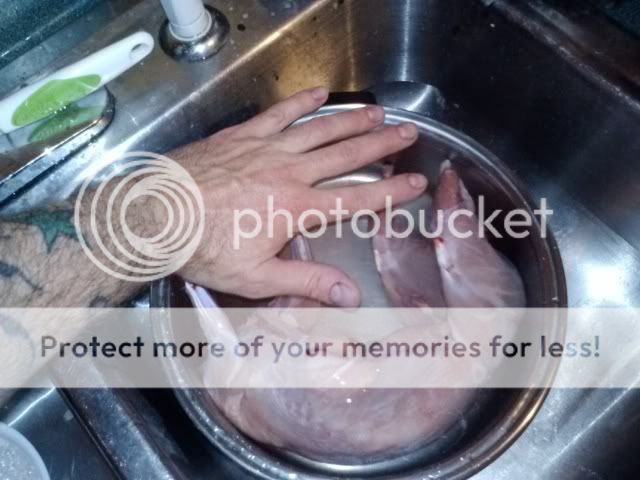 First butcher and eat - Rabbits
