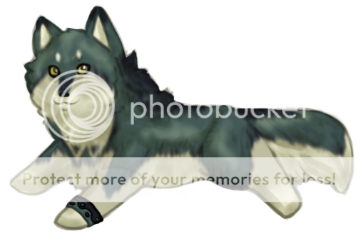 User Image