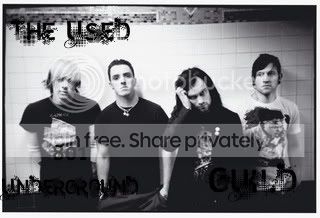 User Image